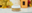 Autumn’s Skincare Elixir: The Pumpkin Facial Experience at Renew Beauty Med Spa